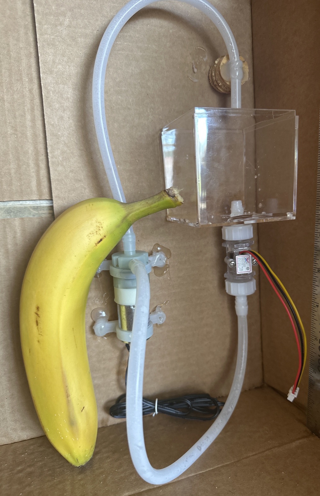Fountain prototype with banana for scale