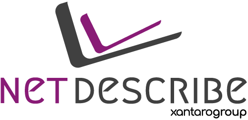 NetDescribe
